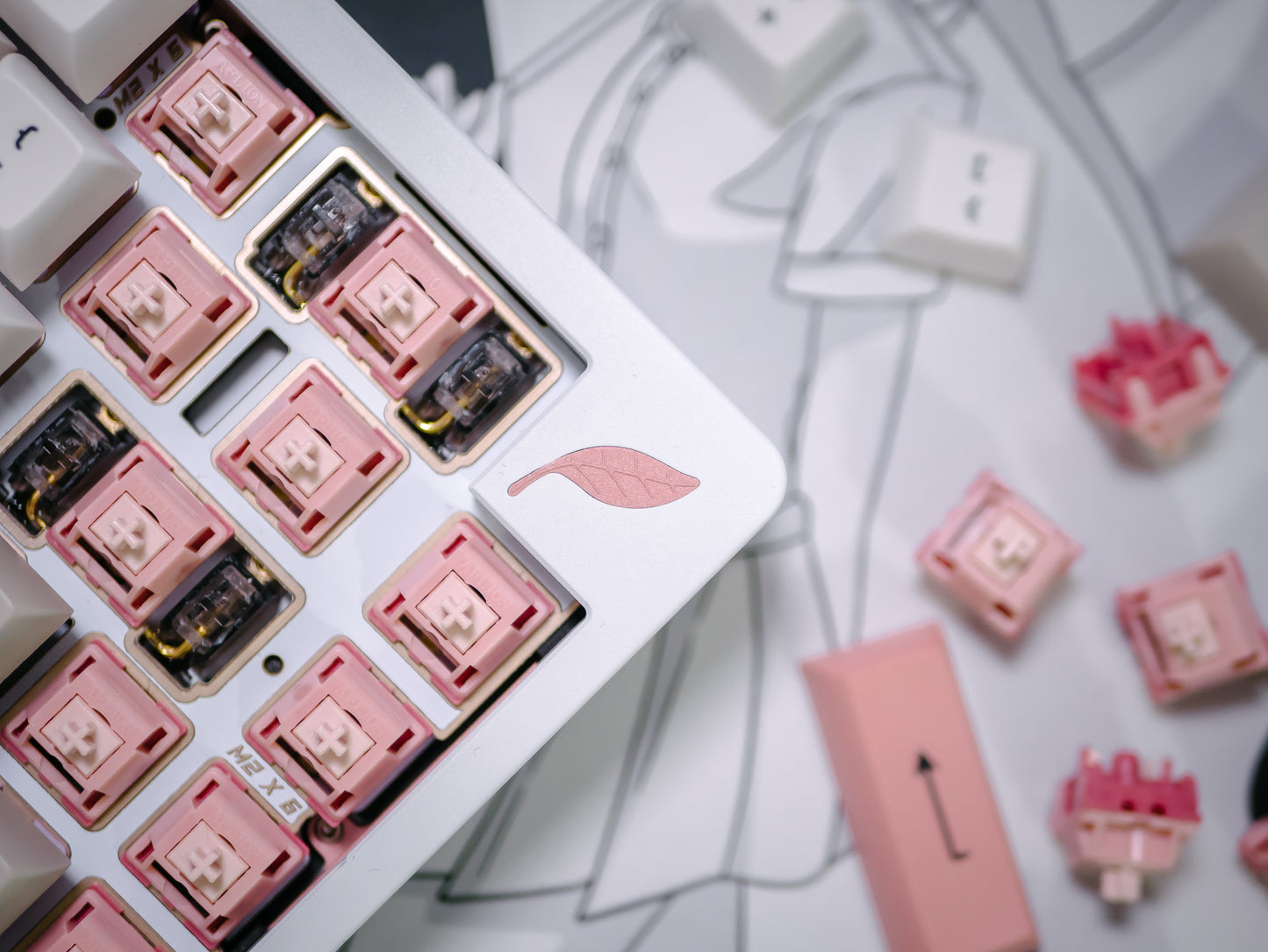 [GB] Blush Linear Switch