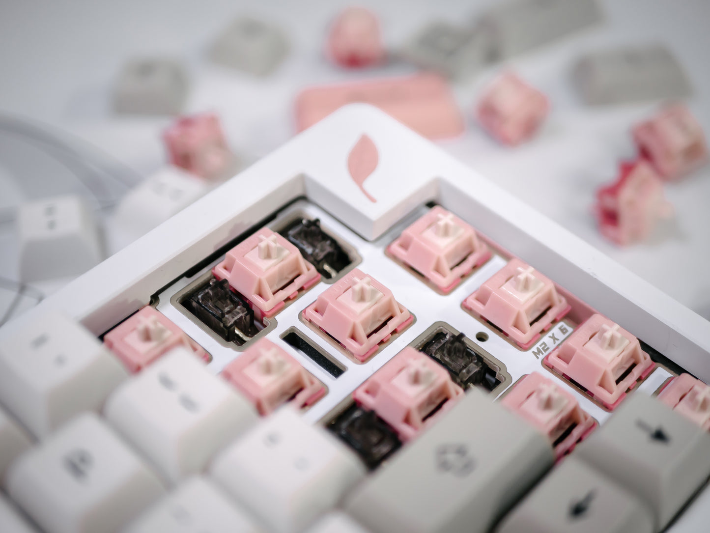 [GB] Blush Linear Switch