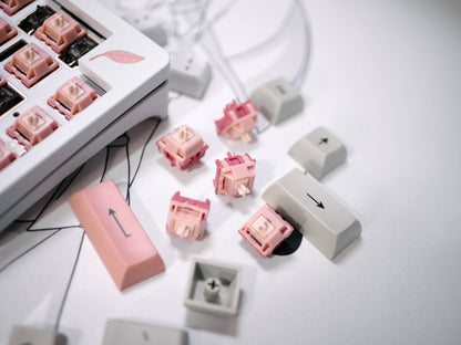 [GB] Blush Linear Switch